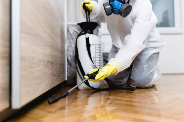 Best Mosquito Control Services  in Effort, PA
