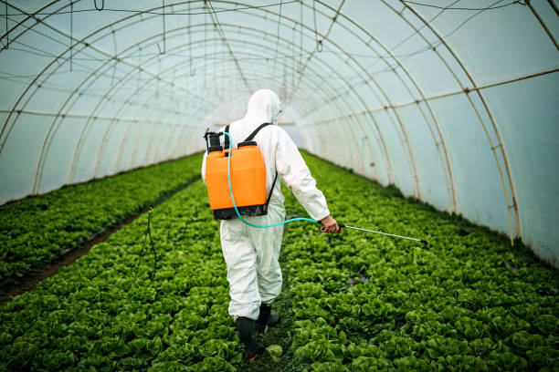 Pest Control Cost in Effort, PA
