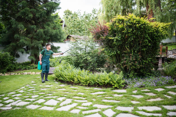 Best Local Pest Control Services  in Effort, PA