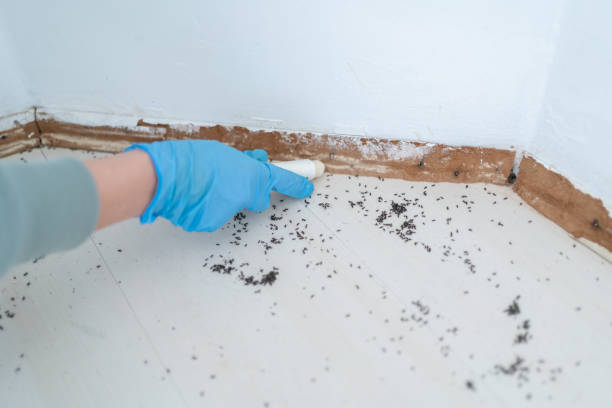 Best Wildlife Control Services  in Effort, PA