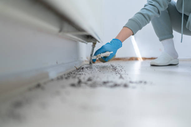 Best Rat Extermination Near Me  in Effort, PA
