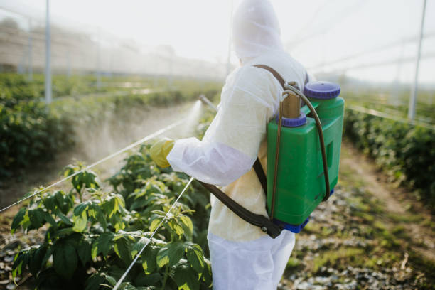Best Pest Control Near Me  in Effort, PA